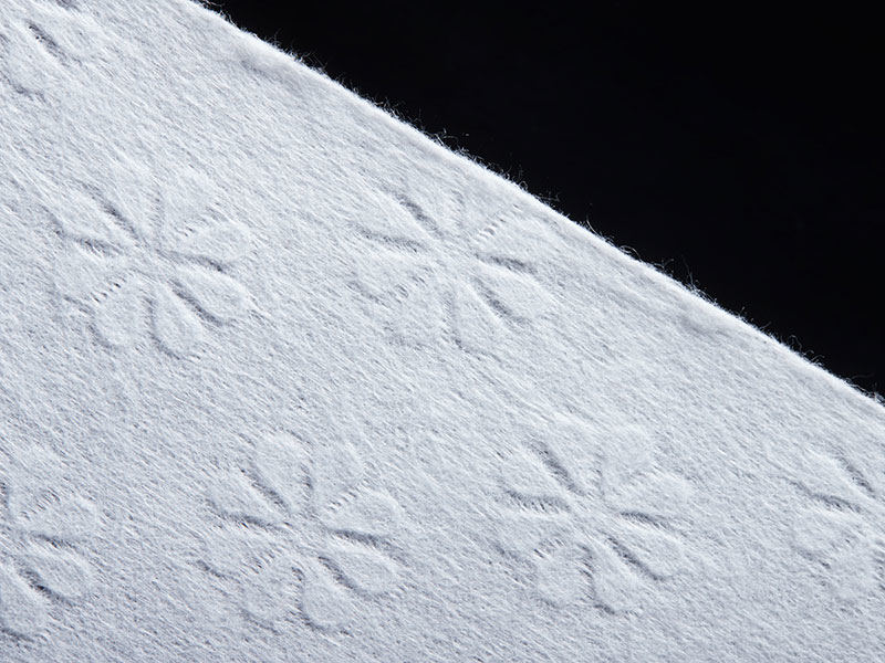 Polyester HK Flower Spunlace voor coating