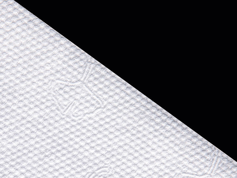 Viscose en polyester Ginkgo Dot Style Spunlace non-woven voor droge of natte doekjes